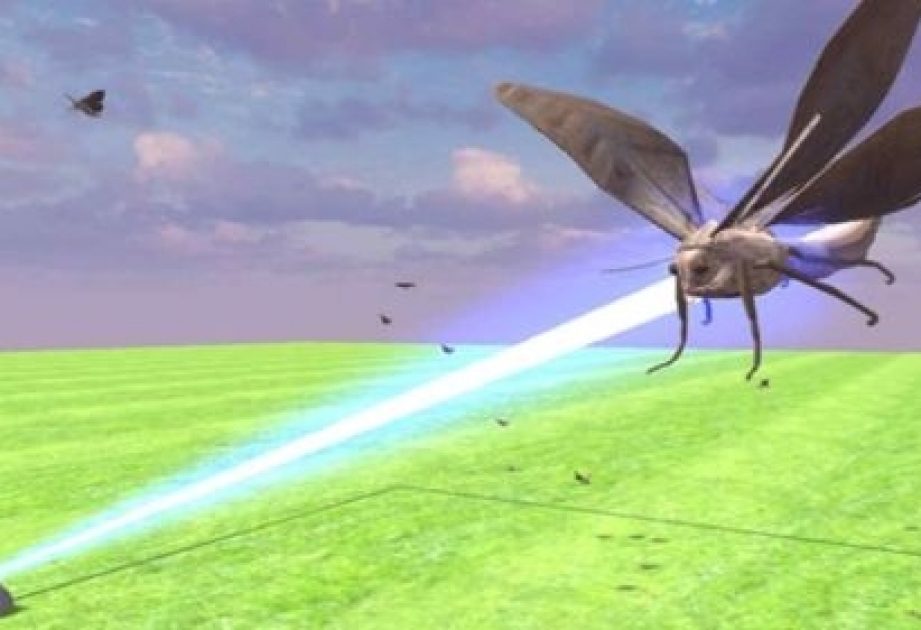 Lazerli dronlar kənd təsərrüfatı sahələrini zərərvericilərdən qoruyacaq