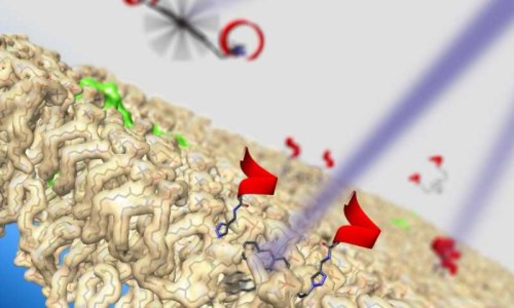 Xərçəng hüceyrələrini öldürən molekulyar nanomaşınlar yaradılıb