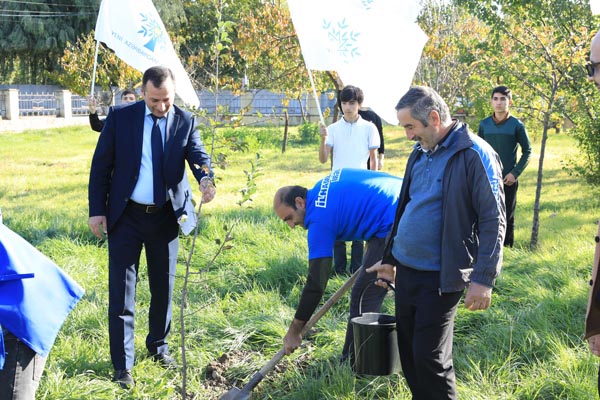 YAP İsmayıllı rayon təşkilatı İlham Əliyevin Prezident seçilməsinin 20 illiyi ilə əlaqədar ağacəkmə aksiyası keçirib - FOTOLAR