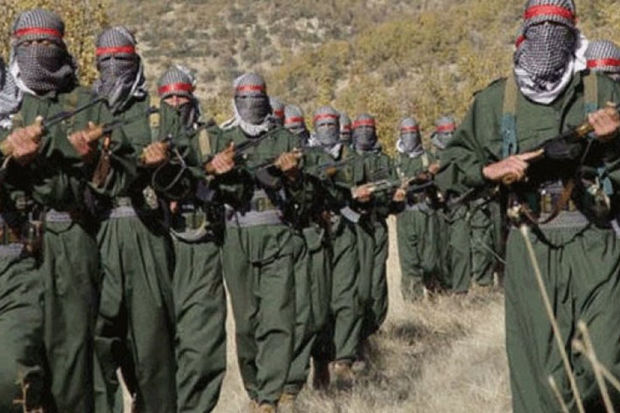 Türkiyə ordusu 100-dən çox PKK hədəfini və 80-ə yaxın silahlını MƏHV ETDİ