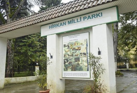 Hirkan Milli Parkının dünəni və bu günü