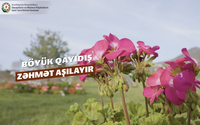 Böyük Qayıdış zəhmət aşılayır - Video