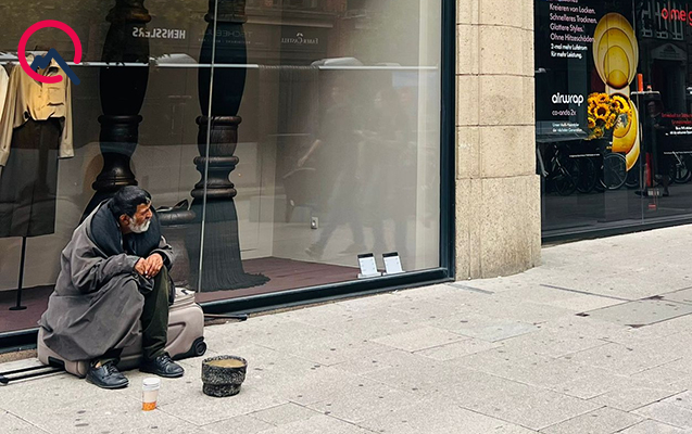 Bu şəhərdə heyvanlar insanlardan yaxşı yaşayır...