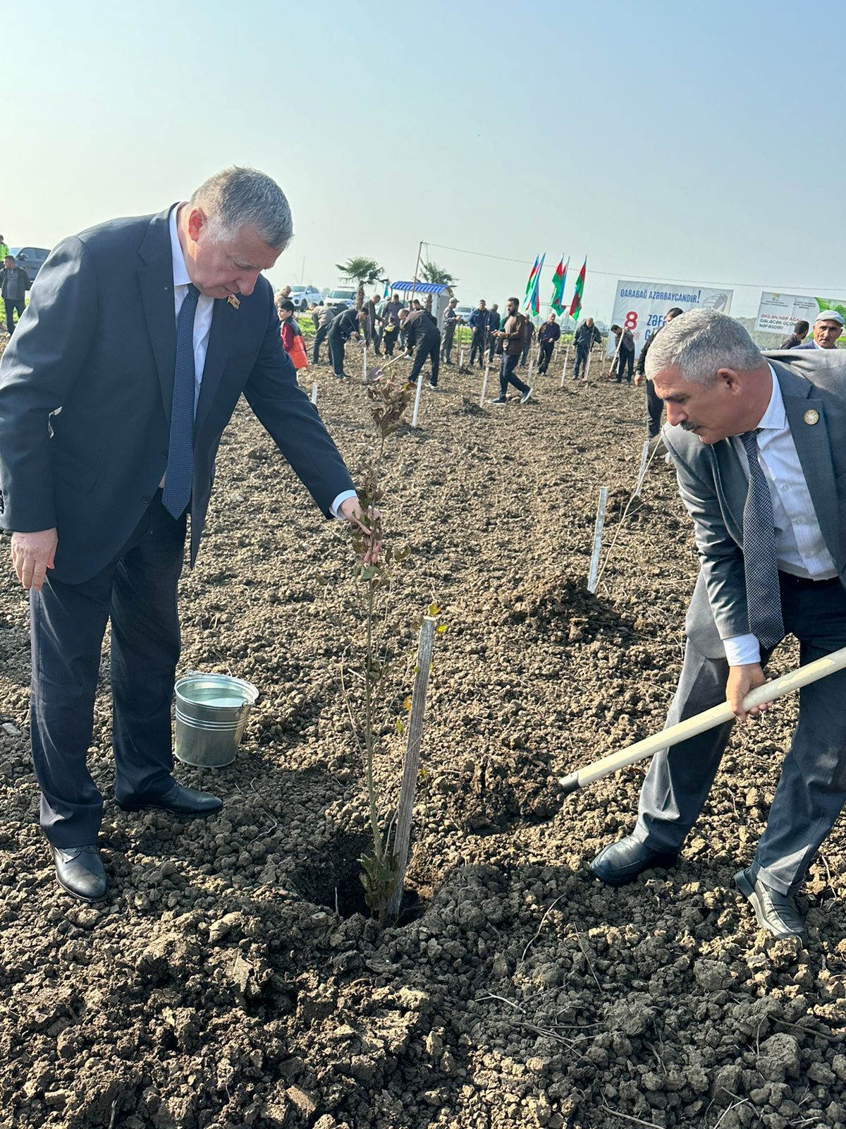 Masallıda Zəfər Günü münasibətilə ağacəkmə aksiyası keçirilib