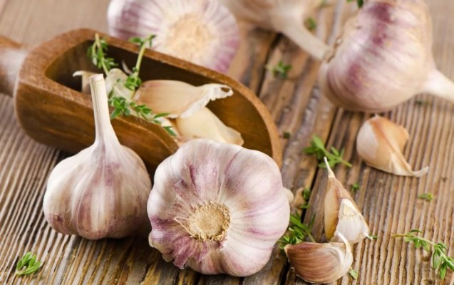 Sarımsağın faydaları