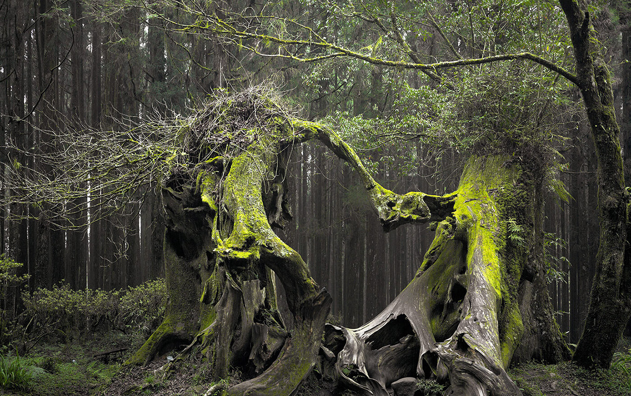 Çoban 200 qoyunu ilə yoxa çıxdı, həmin yer UNO-lara məskən oldu - Fotolar