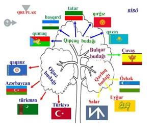 DÜNYA DİL AİLƏLƏRİ VƏ TÜRK DİLLƏRİ AİLƏSİ
