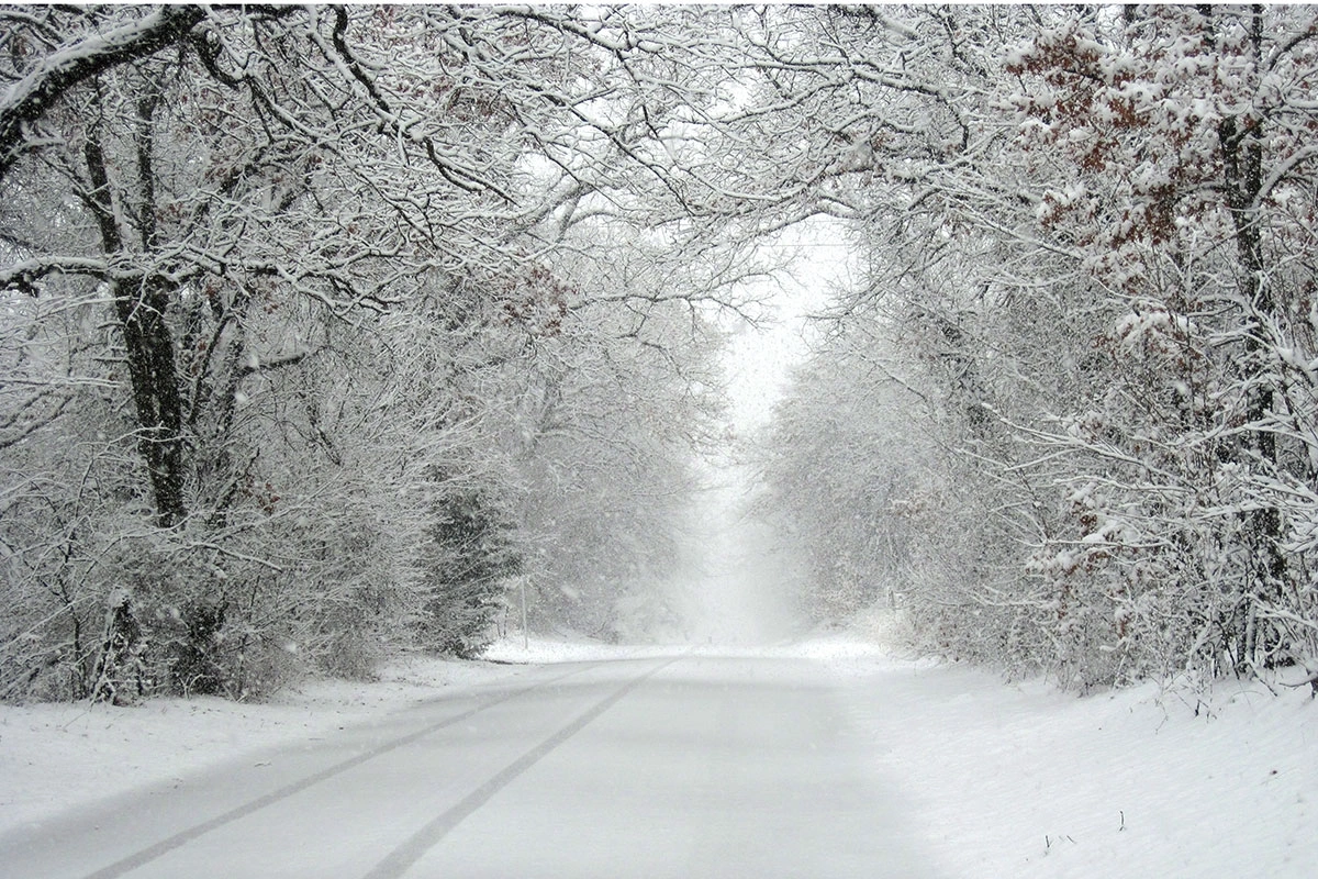 Azərbaycanın bəzi bölgələrində 11 dərəcə şaxta gözlənilir - 29.01.2026