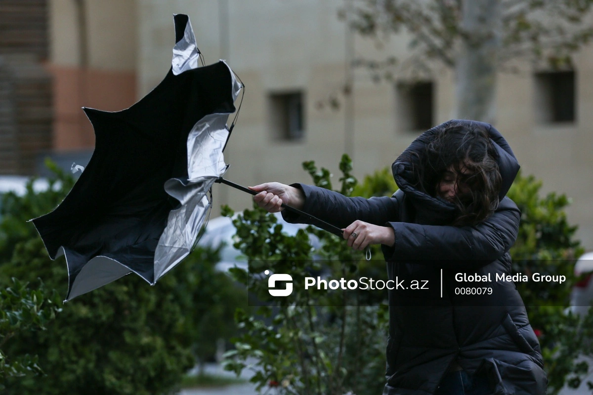 Küləkli hava şəraiti ilə bağlı sarı xəbərdarlıq verilib