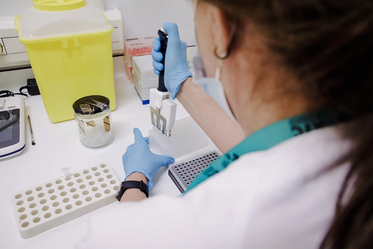 Meymunçiçəyinin əsas əlaməti açıqlandı