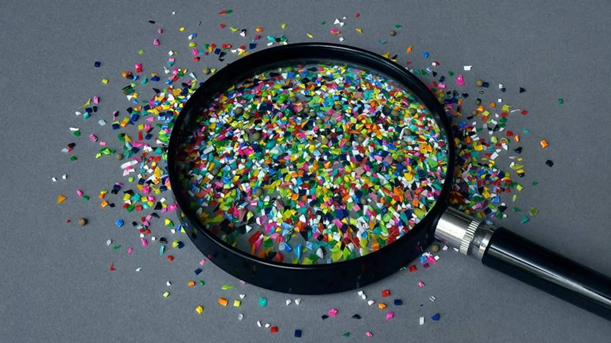 Antarktidada mikroplastik təhlükəsi: Həşəratların qida mənbəyinə çevrilib