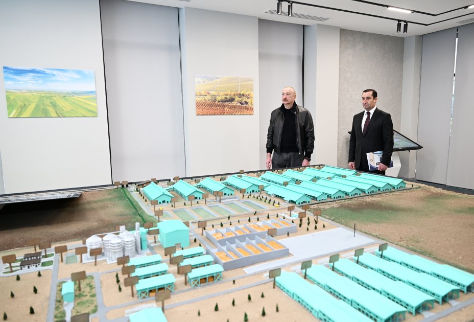 Regionlar dayanıqlı inkişafa və yeni iqtisadi mərhələyə qədəm qoyur