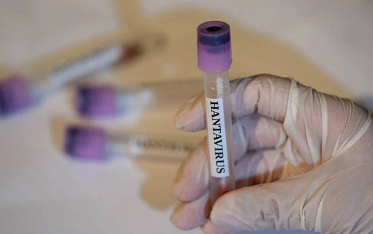 Bu ölkədə daha bir nəfərdə hantavirus aşkarlandı
