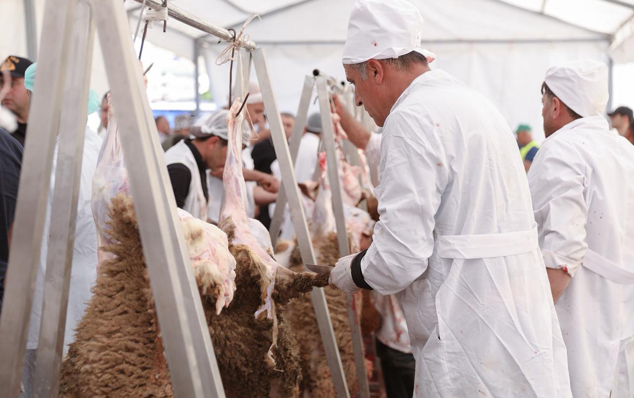 Qurbanlıqları bu ünvanlardan ala bilərsiniz - Siyahı
