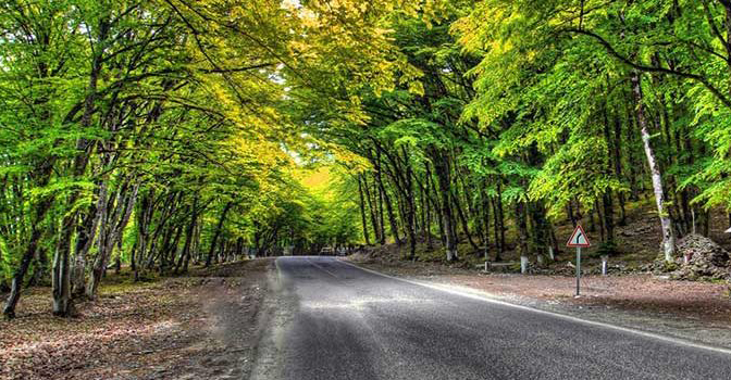 Quba 9 Saylı XTY İstismar İdarəsinin rəhbəri İlham Cəbrayılov: “Ulu Öndər Heydər Əliyev və Azərbaycan yol strategiyasının inkişafı”