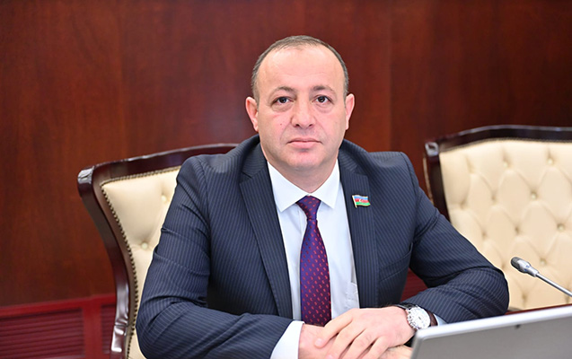 “Layihədə bu məsələlər kifayət qədər ətraflı tənzimlənməyib”