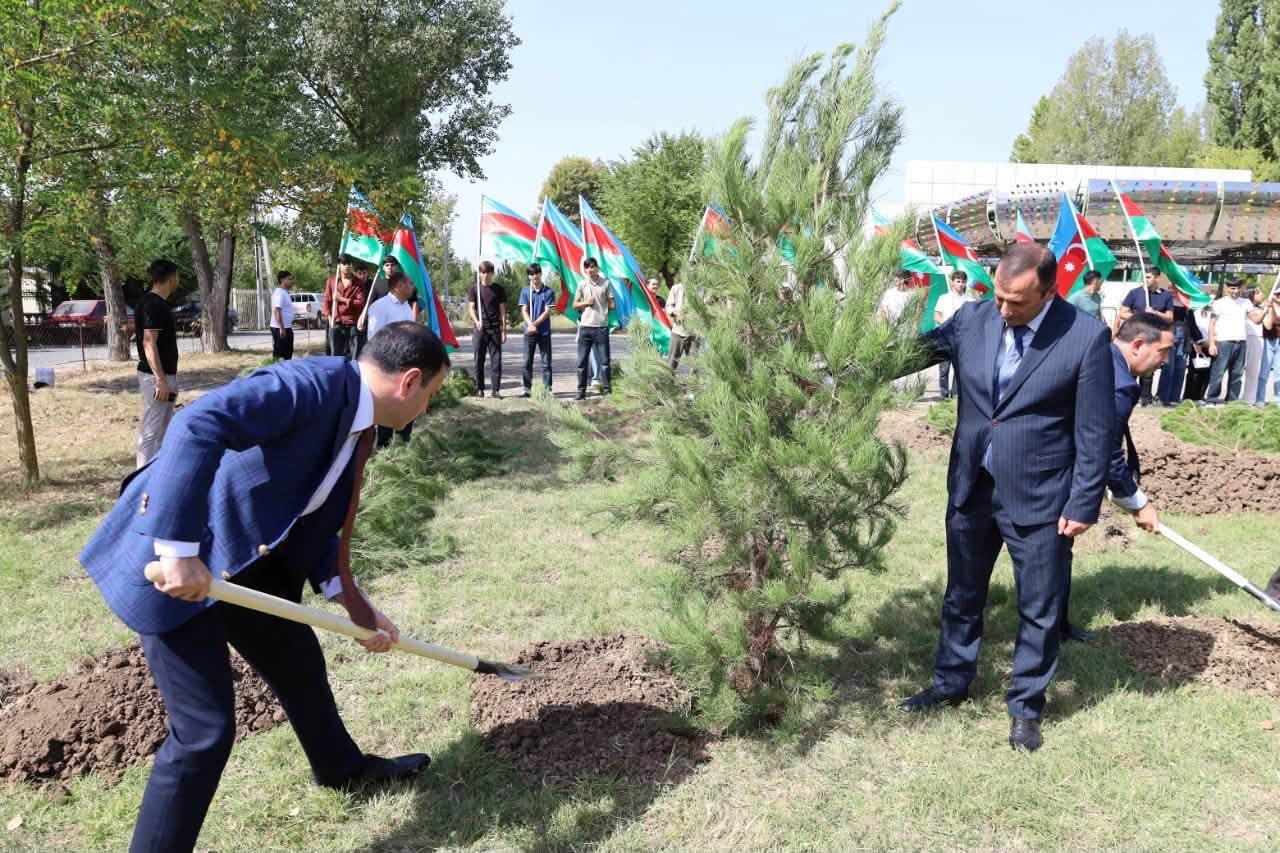 İsmayıllıda Anım Günü ilə əlaqədar ağacəkmə aksiyası keçirilib