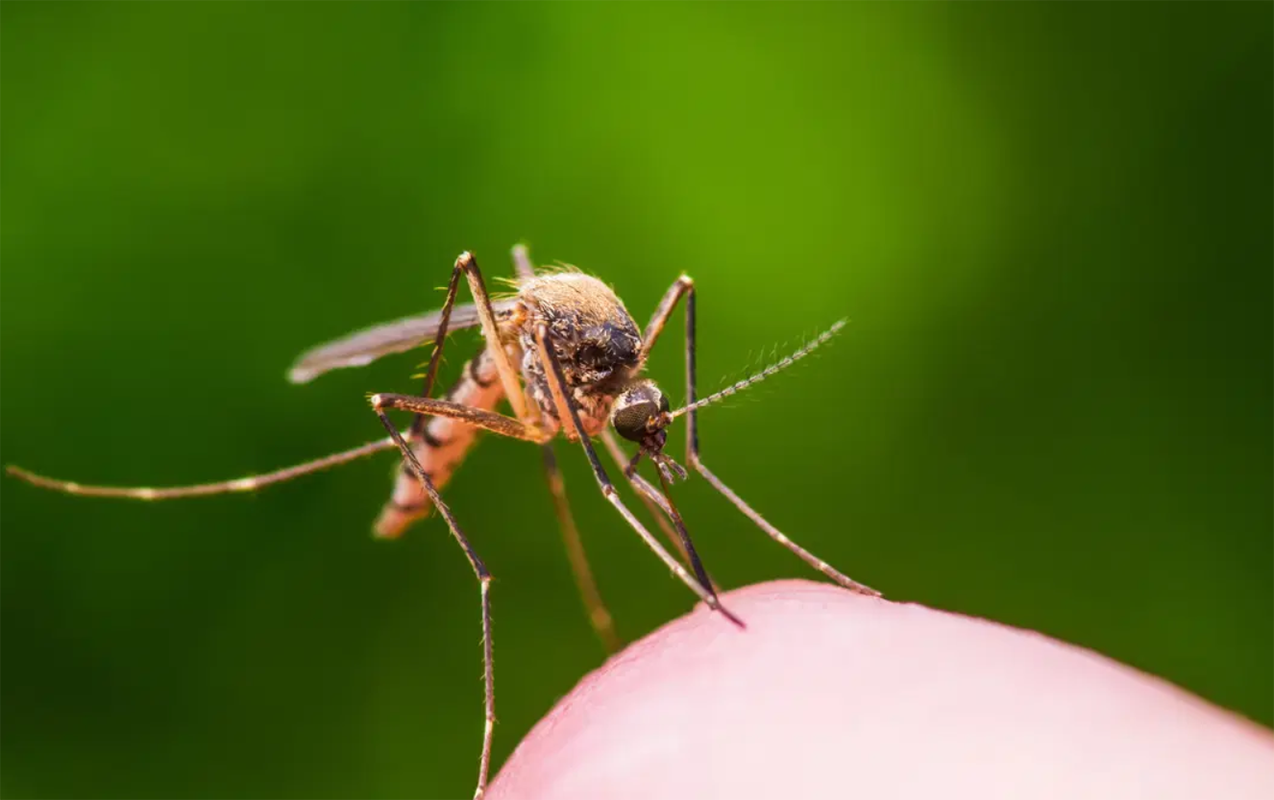 İlk dəfə insanda aşkarlanan virus ölümə səbəb oldu